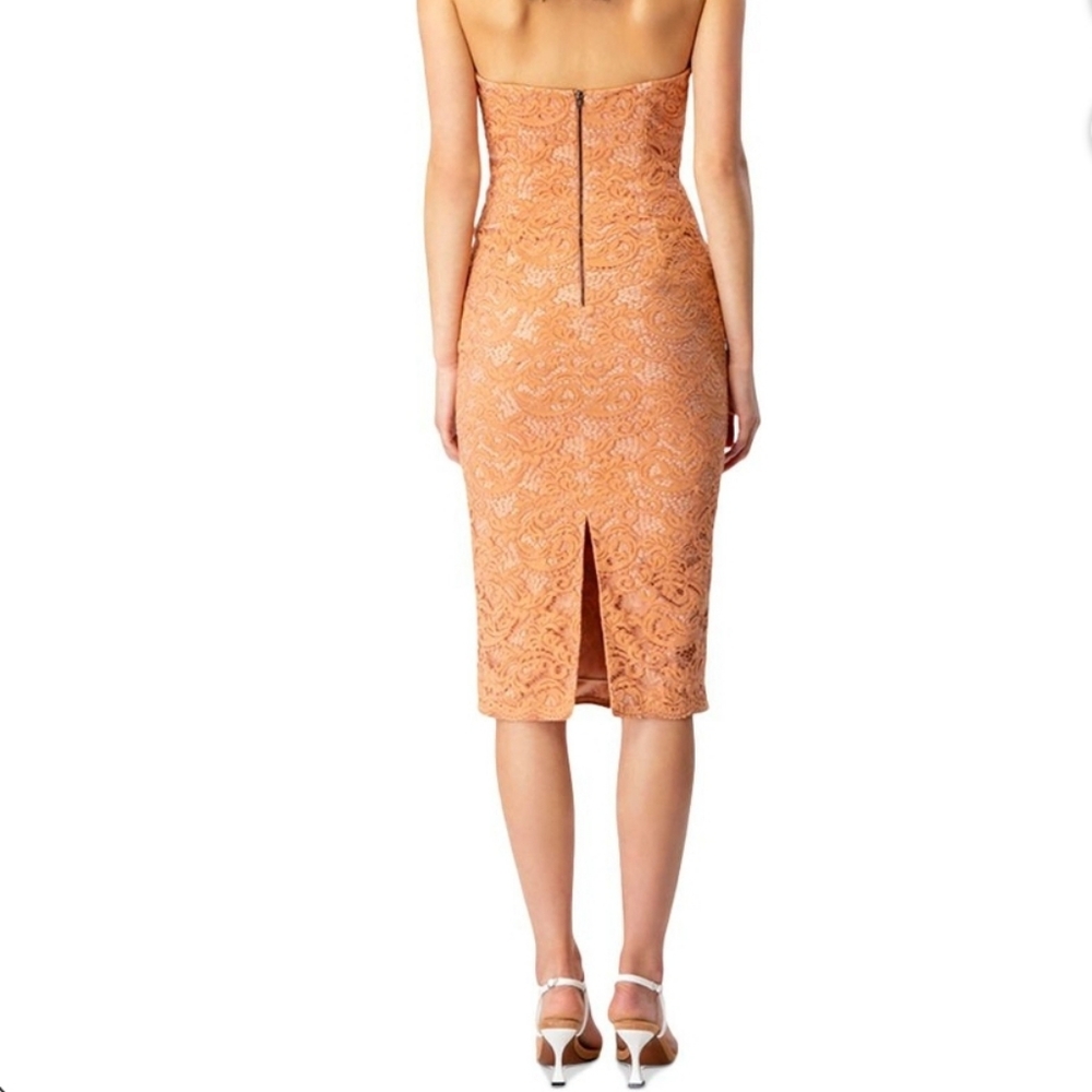 Bardot Riveria Lace Corset‎ Bodycon Halter MIDI Dress Mauve Peach Womens M 6 - Picture 2 of 10